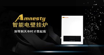 北京電壁掛爐 DaHe 大赫電壁掛爐--【詳情點擊進入】